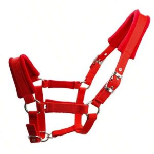 bride en sangle pour cheval 12cm
