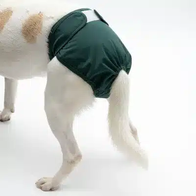 392397_female_washable_diaper_dog_fg_7819_3