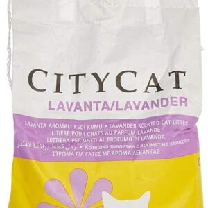 CITY CAT 5KG