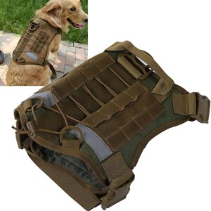 Harnais pour chien de compagnie