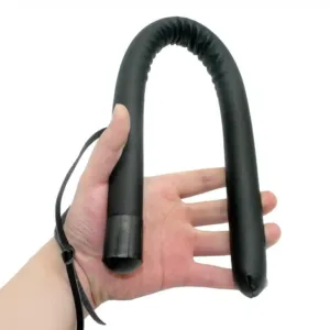 Baton de dressage pour chien