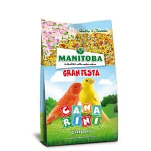 MANITOBA FESTA CANARI 500GR