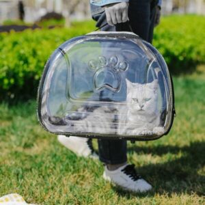 Sac bandoulière transparent pour chat 2025-20