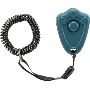 CLICKER 2287