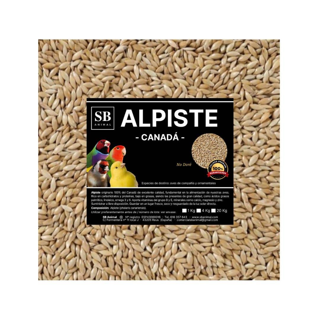 alpiste-canada