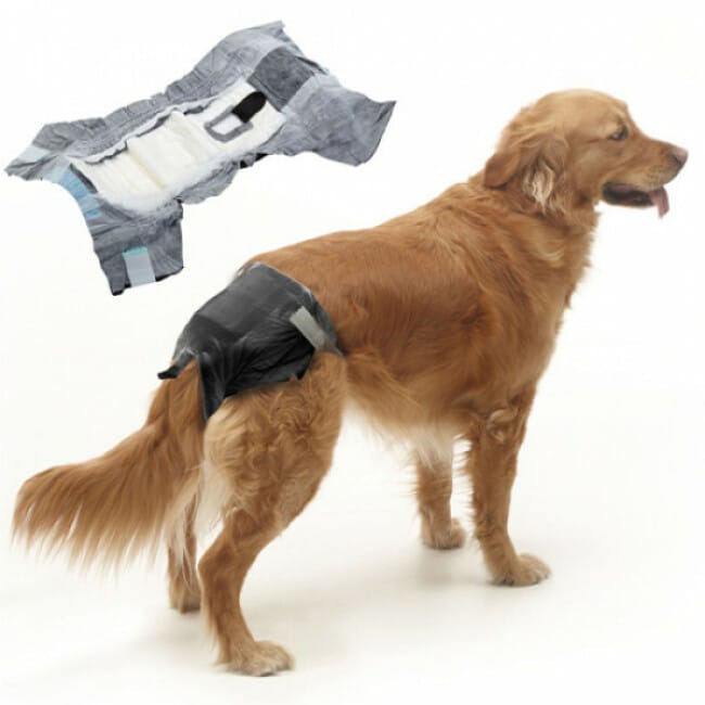 couche-culotte-comfort-nappy-jetable-pour-incontinence-du-chien-5dbaaf459fdda