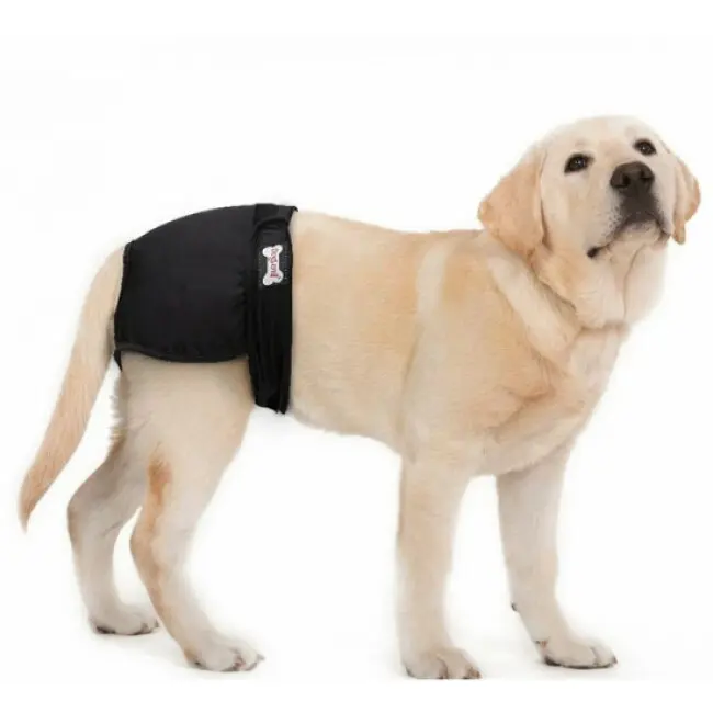 couche-lavable-noire-pour-chien-femelle-5ea676361a236