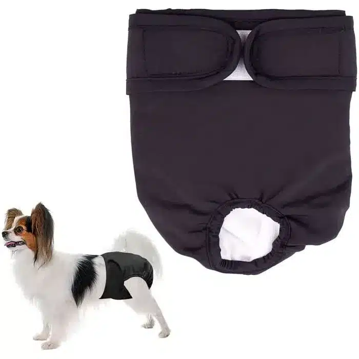 couche-pour-chien-l-couche-proprete-pour-chien-cou