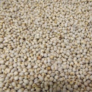 SORGHO BLANC 25KG
