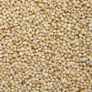 MILLET BLANCHE 25KG