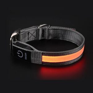 Collier LED pour chien