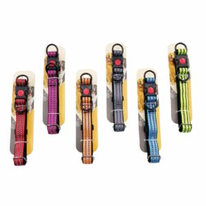 Collier réfléchissant pour chien