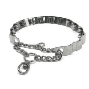 Collier de dressage pour chien