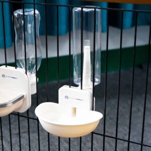 Distributeur d'eau pour animaux