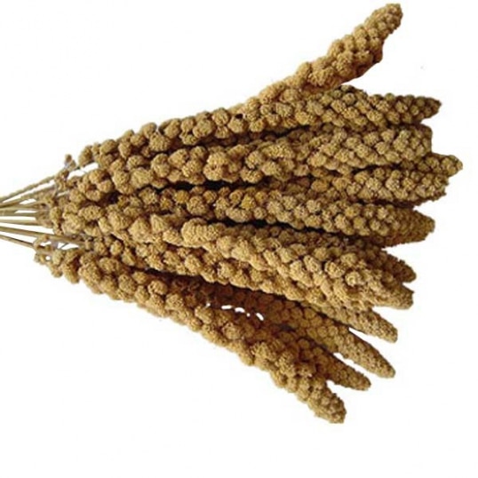 millet-en-grappe-francais-1-kg