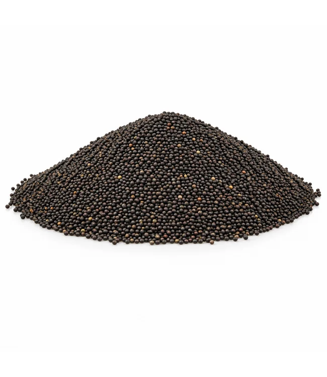 reniers-fishing-graines-de-colza-1kg-petite-graine