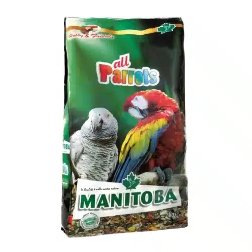 square_manitoba_parrots-removebg-preview