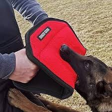 COUSSIN DINGO GEAR GIZMO ROUGE S00517