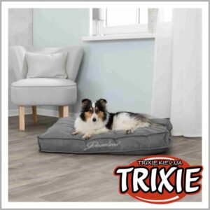 COUSSIN DREAMLAND 37081