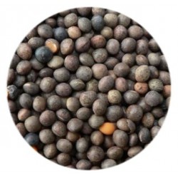 VESCES 25KG